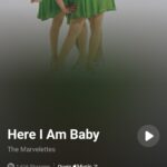 Screenshot_20230914-081126_Shazam