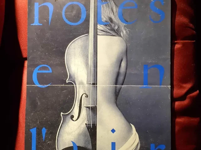NotesenLAIR21
